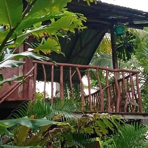 Sigiri Panaromic Tree House , Sigiriya Sri Lanka